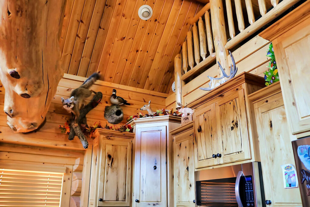 Yellowstone Log Homesmounts on cabinets on main floor at Mcgregor Log Home 4469
